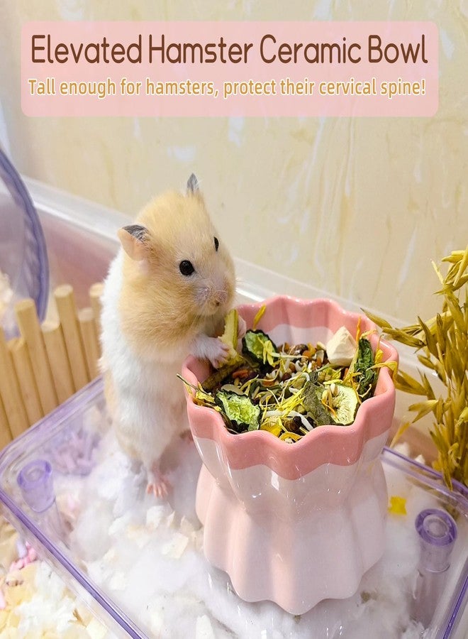 هامليدي وعاء طعام سيراميكي للهامستر، وعاء هامستر مرتفع، طبق تغذية للفئران غير قابل للانقلاب مع زجاجة ماء للجرذان القزمة والفئران والجرذان الطائرة (وردي) - Image 3